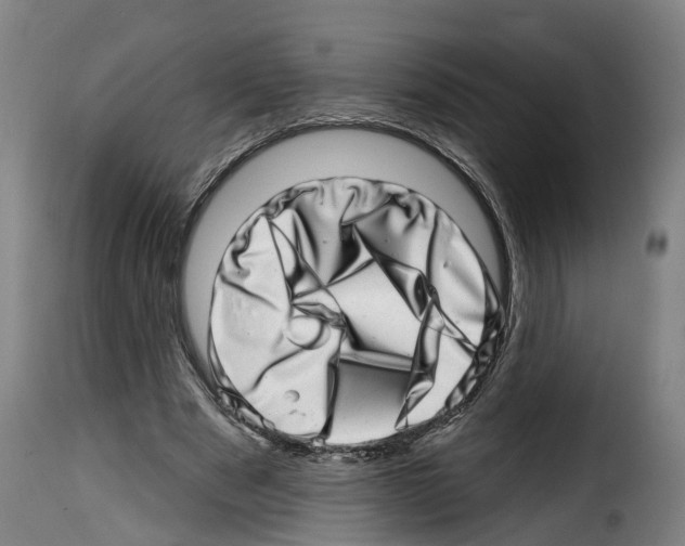 X0000114200489200911201003