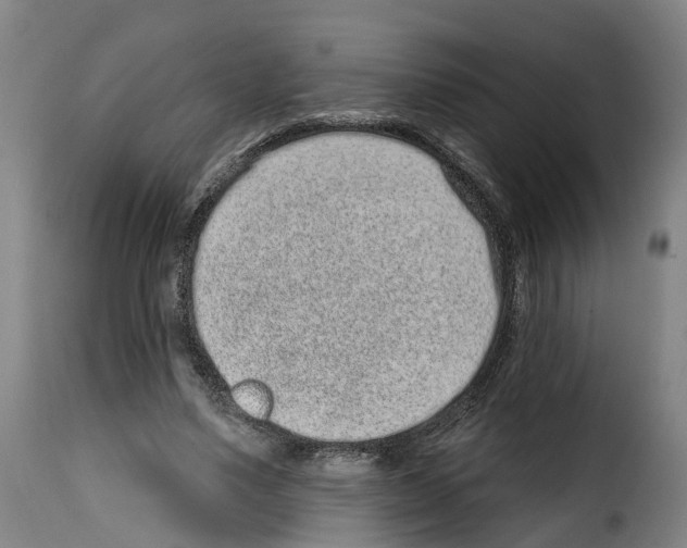 X0000114200491200911201003