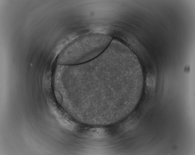 X0000114200492200911201003