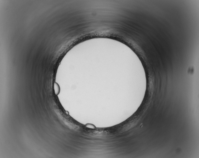 X0000114200493200911201003