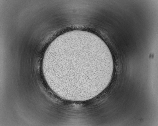 X0000114200495200911201003