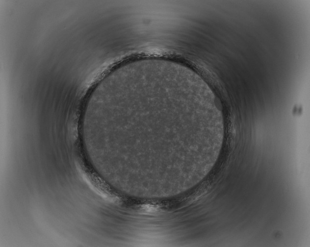 X0000114200496200911201003