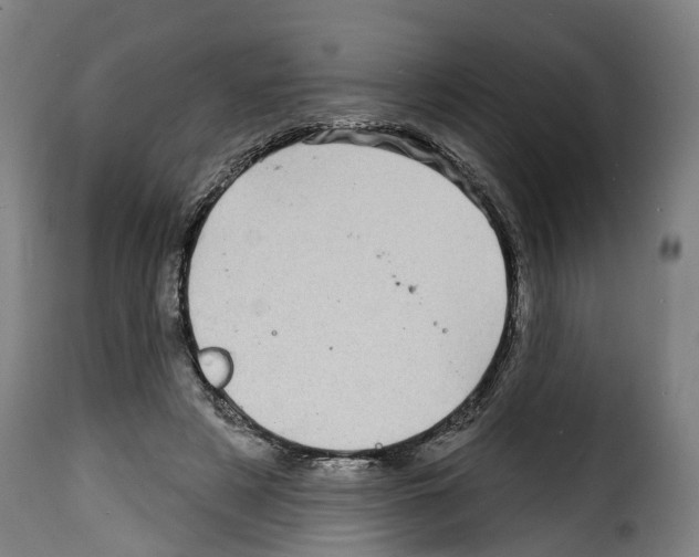 X0000114200497200911201003