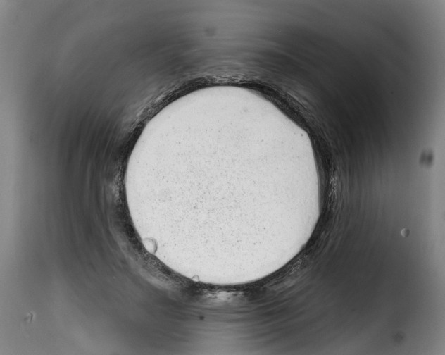 X0000114200499200911201003