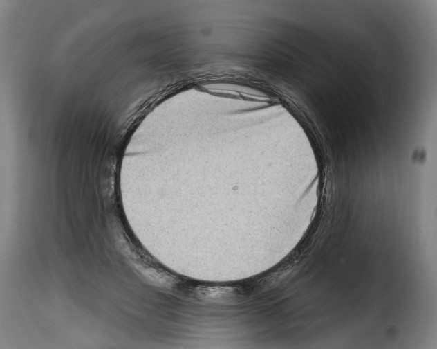 X0000114200501200911201003