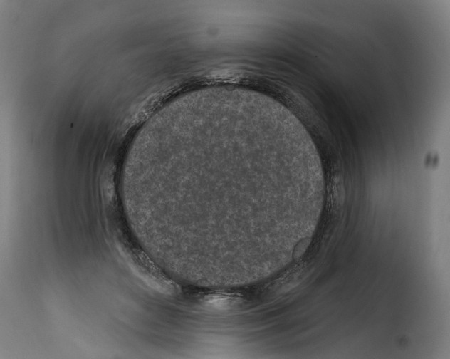 X0000114200504200911201003