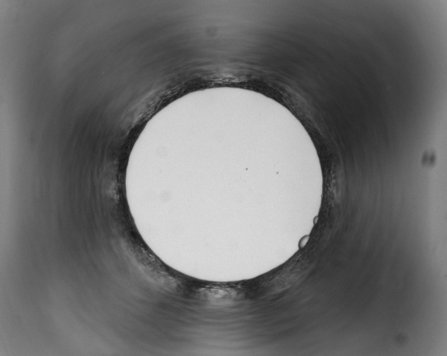 X0000114200512200911201003