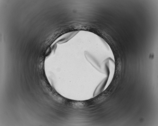 X0000114200513200911201003