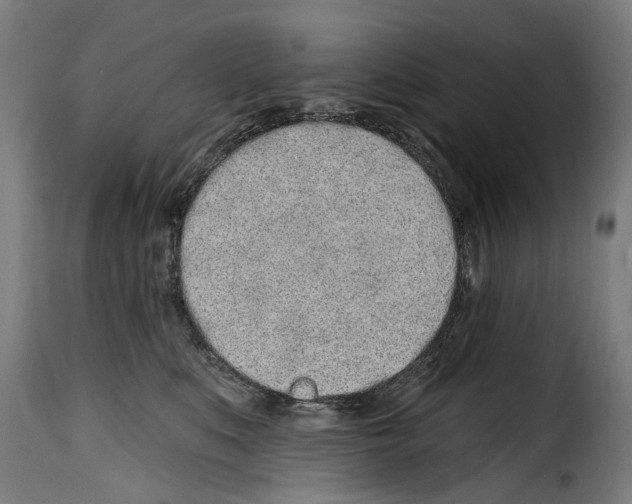 X0000114200519200911201003