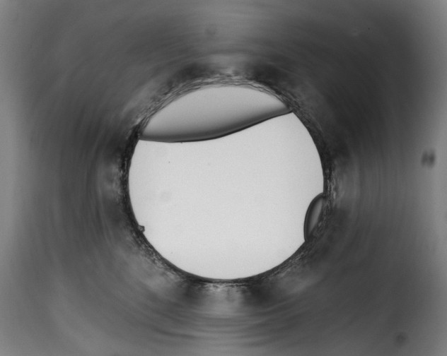 X0000114200520200911201003