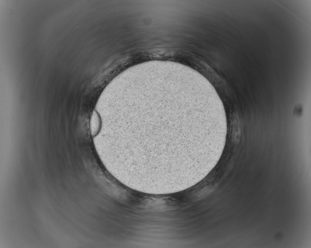 X0000114200523200911201003