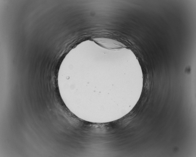 X0000114200524200911201003