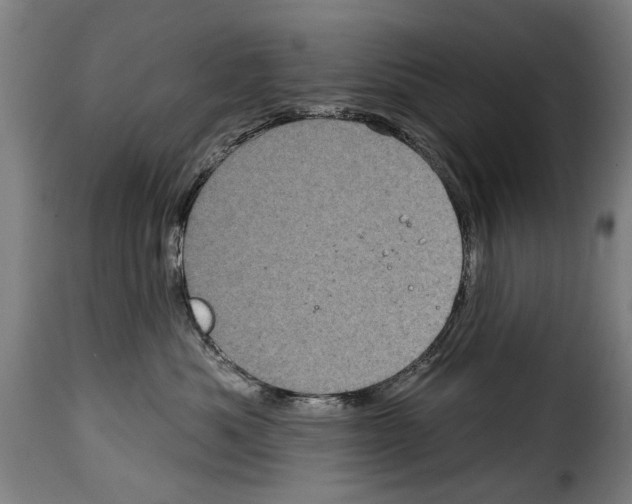 X0000114200525200911201003