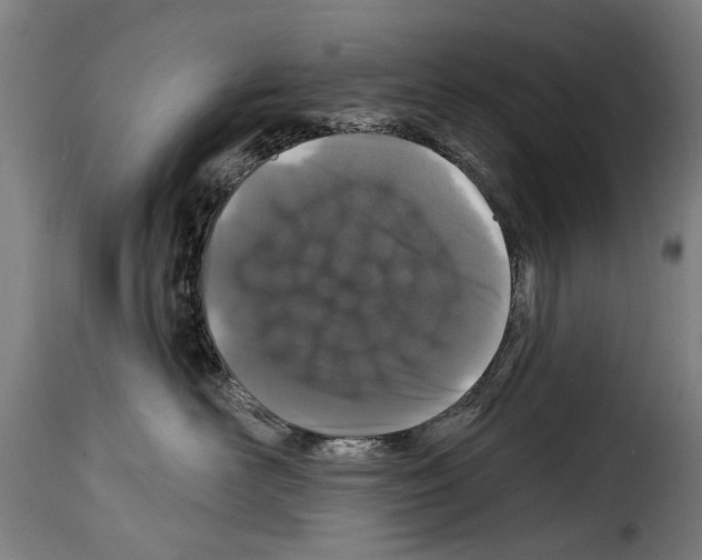 X0000114200526200911201003