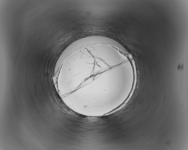 X0000114200528200911201003