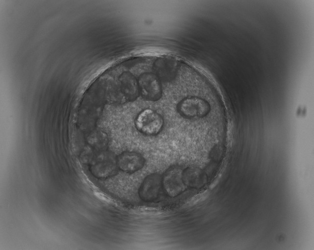 X0000114200529200911201002