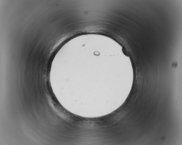 X0000114200530200911201002