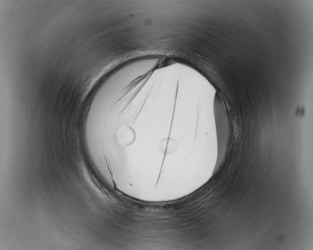 X0000114200534200911201002