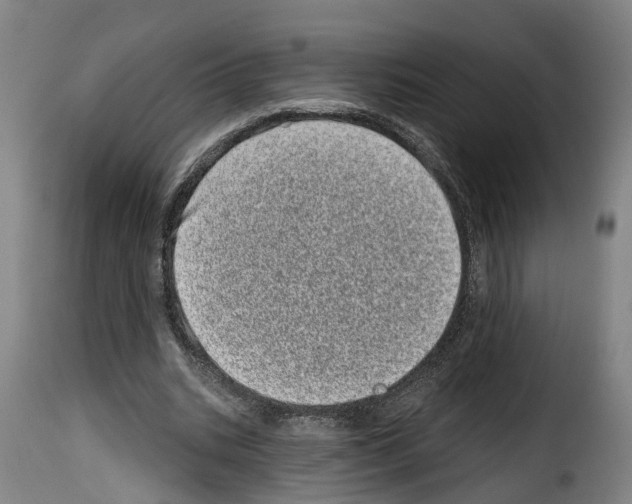 X0000114200535200911201002