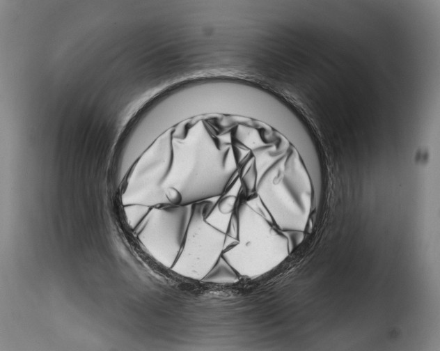 X0000114200536200911201002