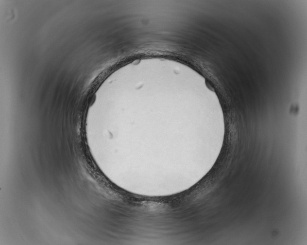 X0000114200539200911201002