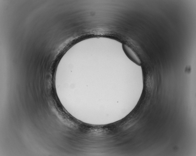 X0000114200540200911201002