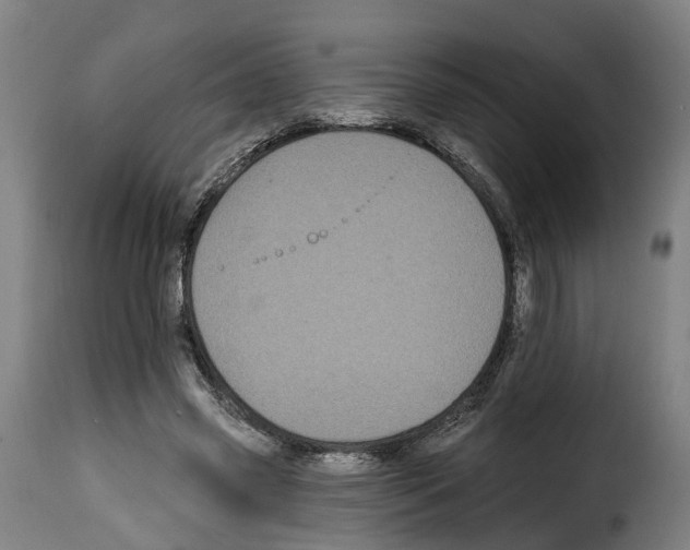 X0000114200541200911201002