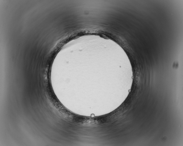 X0000114200543200911201002