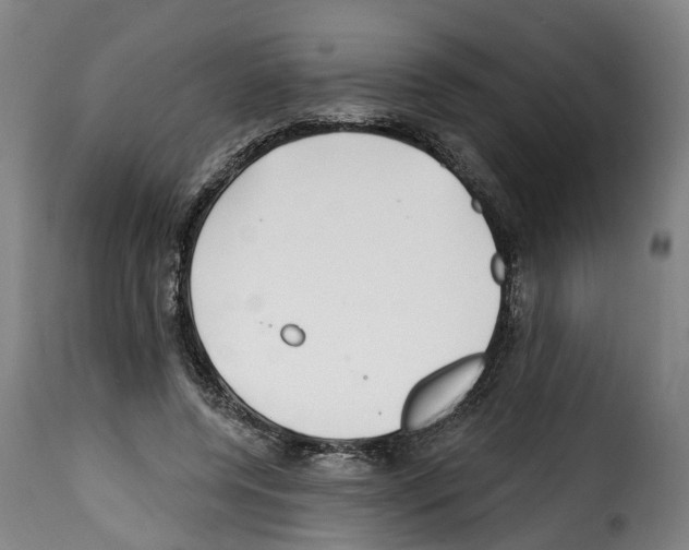 X0000114200544200911201002