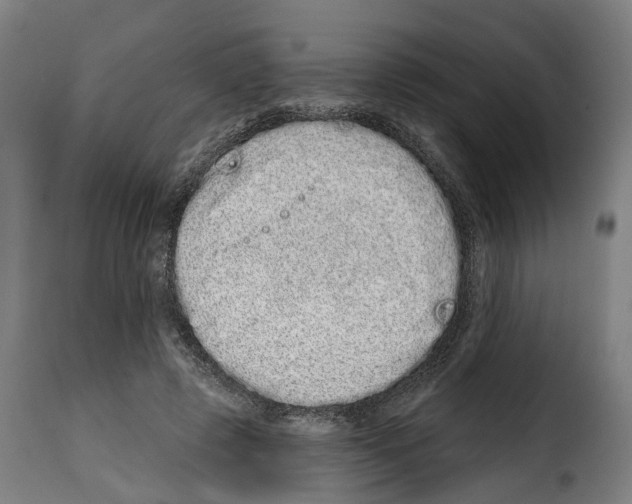 X0000114200545200911201002