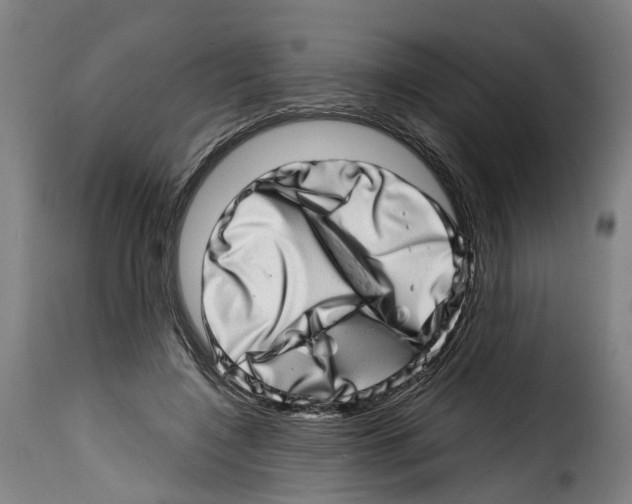 X0000114200548200911201002