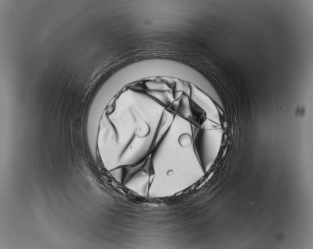 X0000114200552200911201002