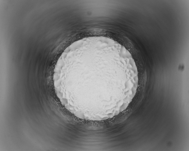 X0000114200553200911201002