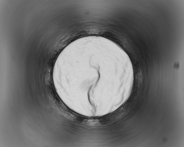 X0000114200554200911201002