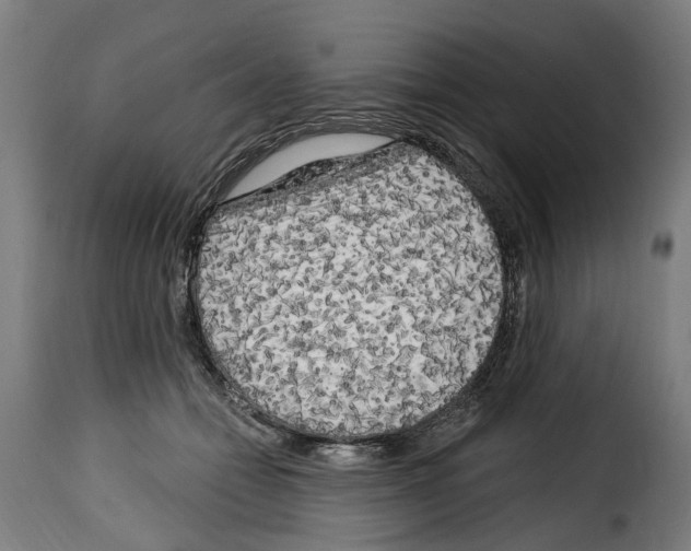 X0000114200558200911201002