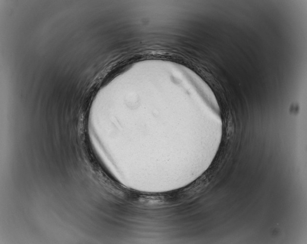 X0000114200559200911201002