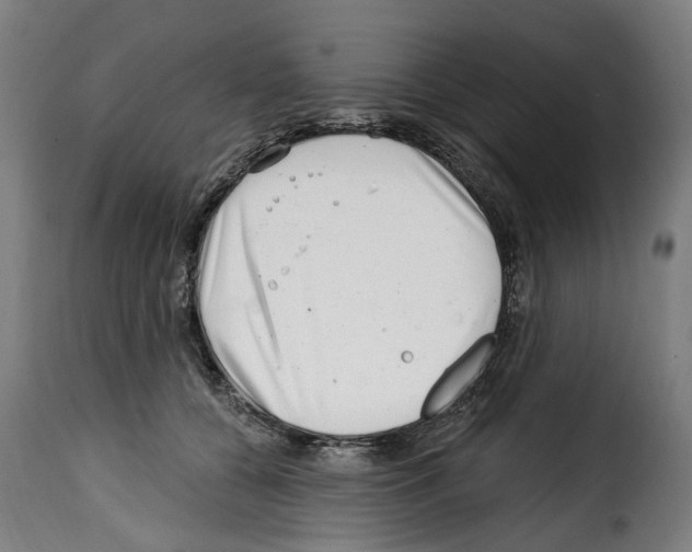 X0000114200560200911201002