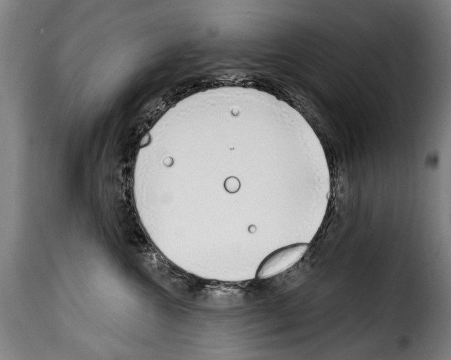 X0000114200572200911201003