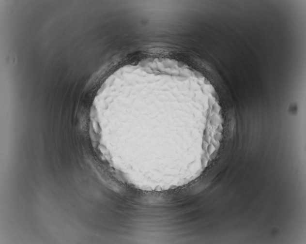 X0000114200573200911201003