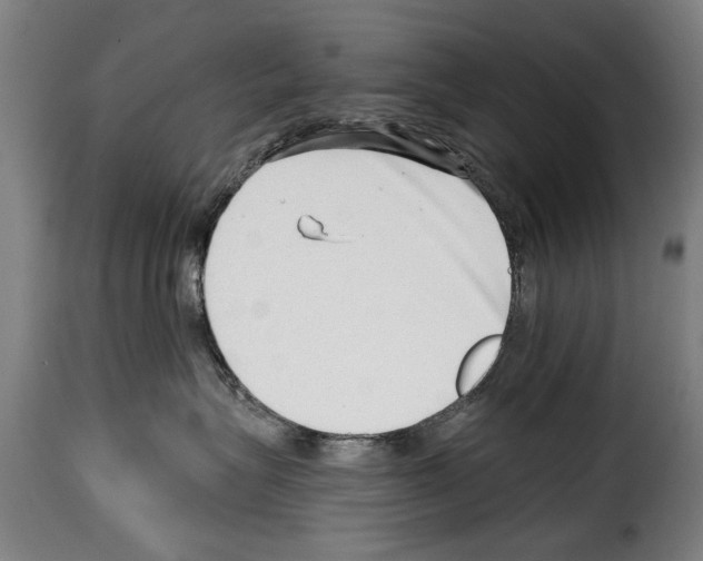 X0000114200575200911201003