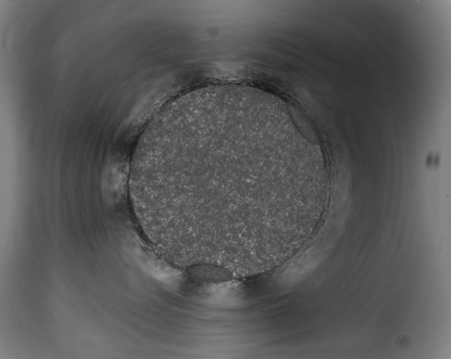 X0000114200576200911201003