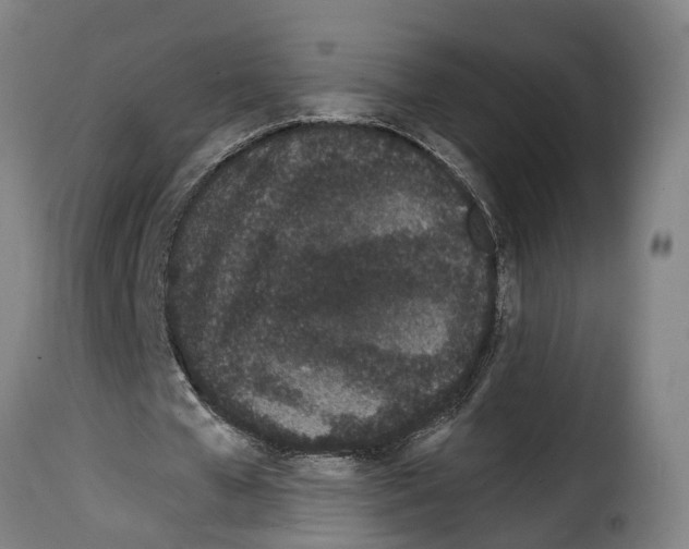 X0000114200577200911201002