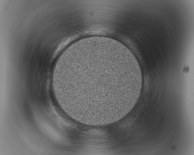 X0000114200578200911201002