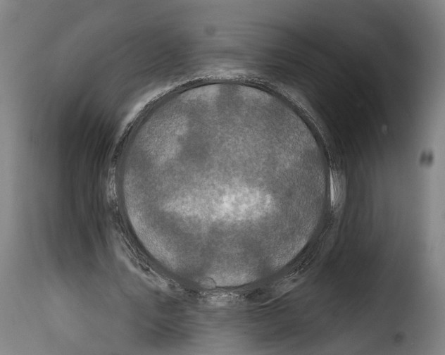 X0000114200579200911201002