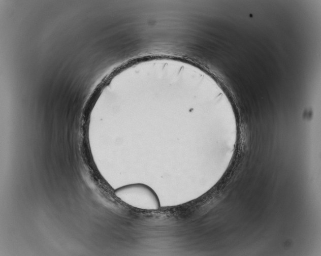 X0000114200580200911201002