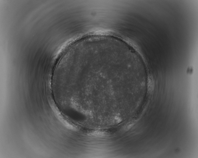 X0000114200581200911201002