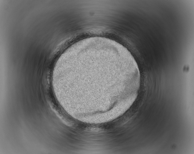 X0000114200590200911201002