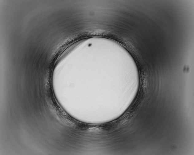 X0000114200591200911201002