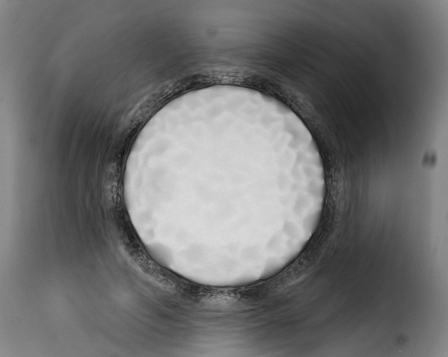 X0000114200594200911201002