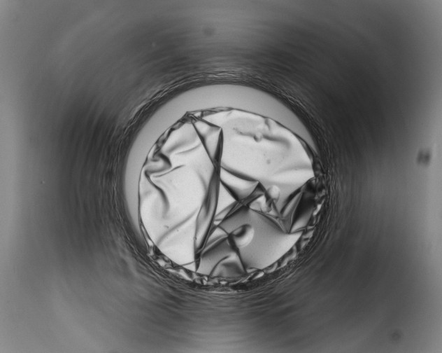 X0000114200595200911201002